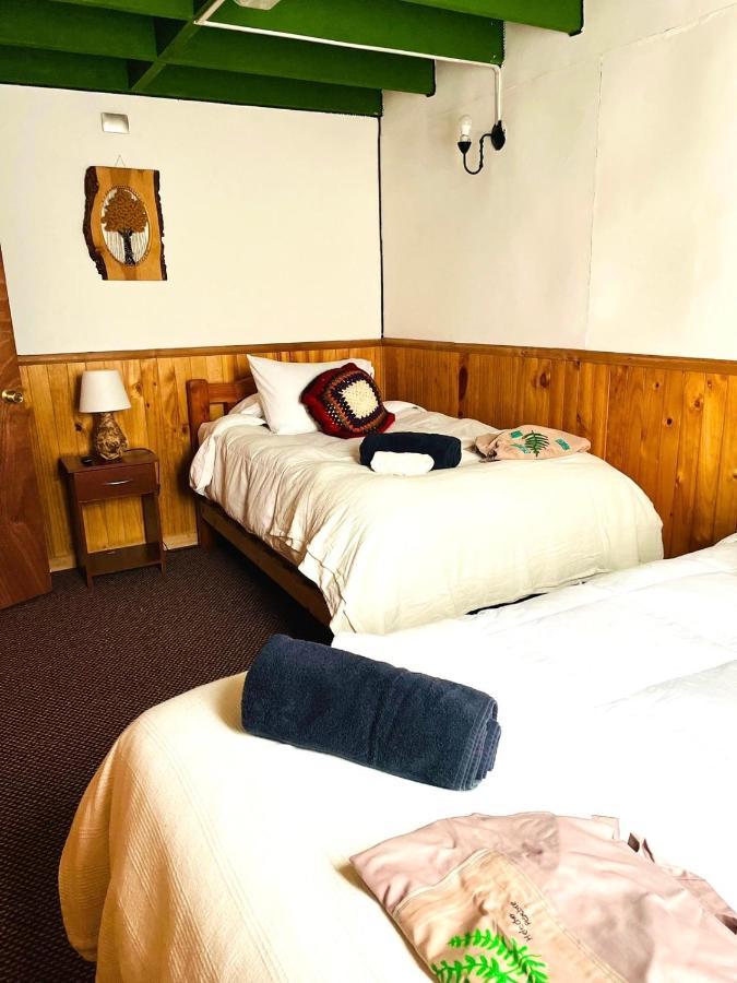 Hostel Profe Nelson Puerto Cisnes Exteriér fotografie